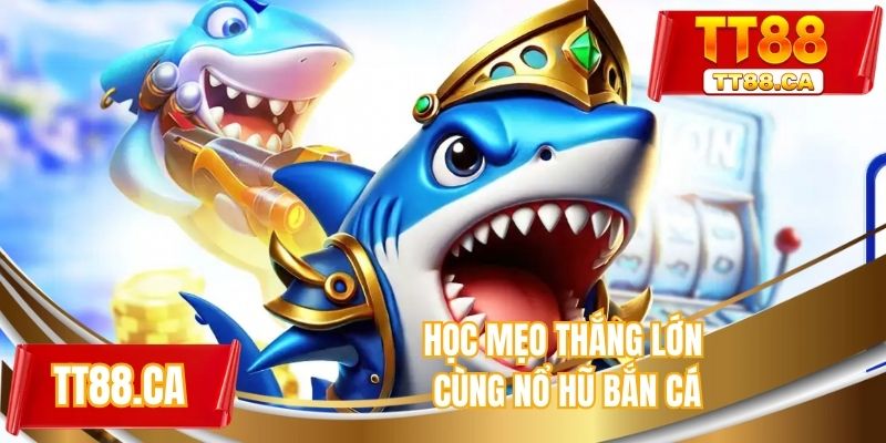 Học mẹo thắng lớn cùng nổ hũ bắn cá